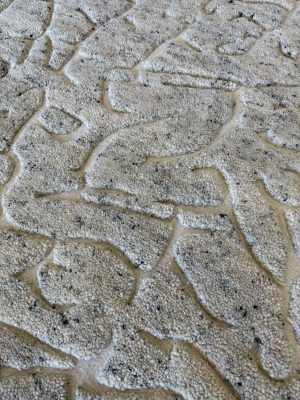 Sahara rug