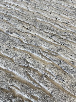 Sahara rug